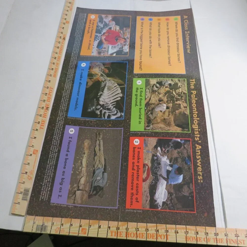 Dinosaurs & Groundhog Posters (7) EXTRA LARGE LAMINATED and non lam. Classroom
